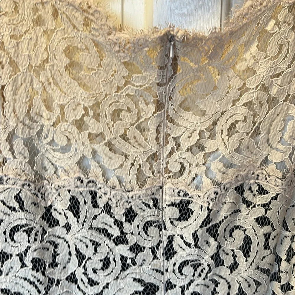 Tadashi Shoji lace cocktail dress - Picture 4 of 11